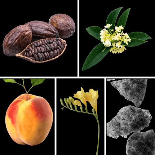 Duftnoten: Kakao, Osmanthusblüte, Pfirsich, Fresie, Moschus